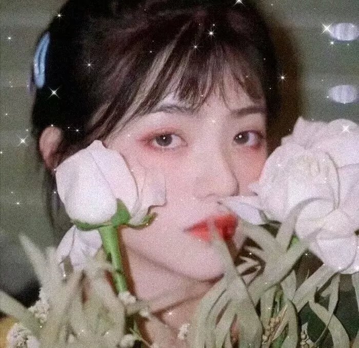 一梦如故